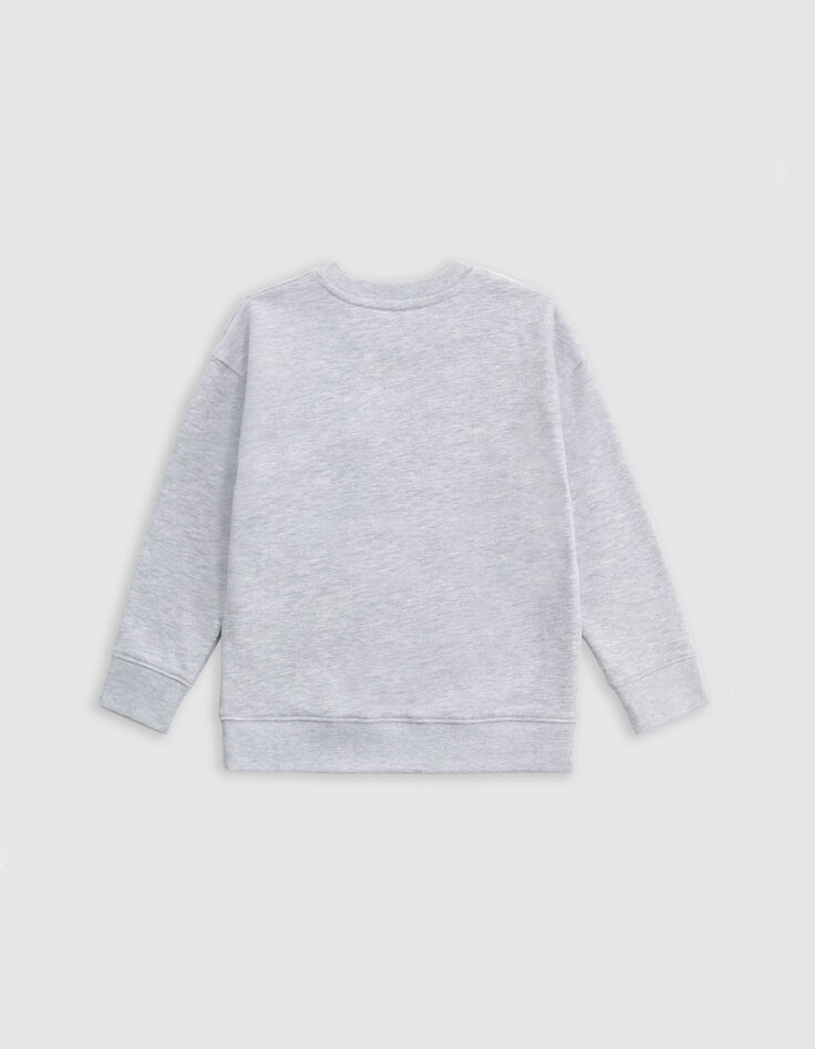 Grey visual tiger-balinese mask sweatshirt for boy-6 Grey visual tiger-balinese mask sweatshirt for boy-6